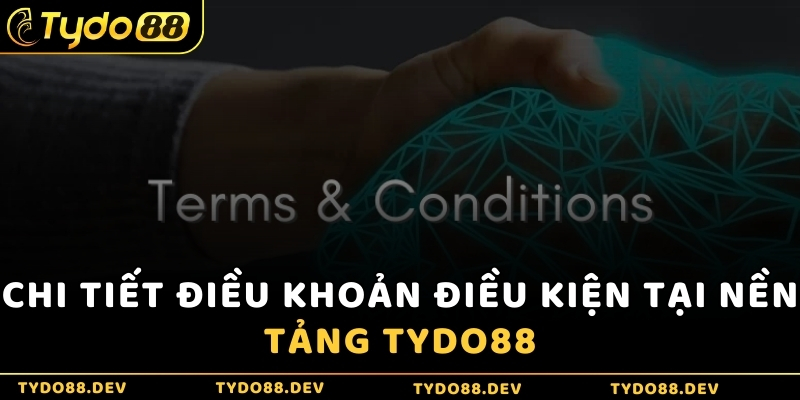 Chi tiết điều khoản điều kiện tại nền tảng Tydo88